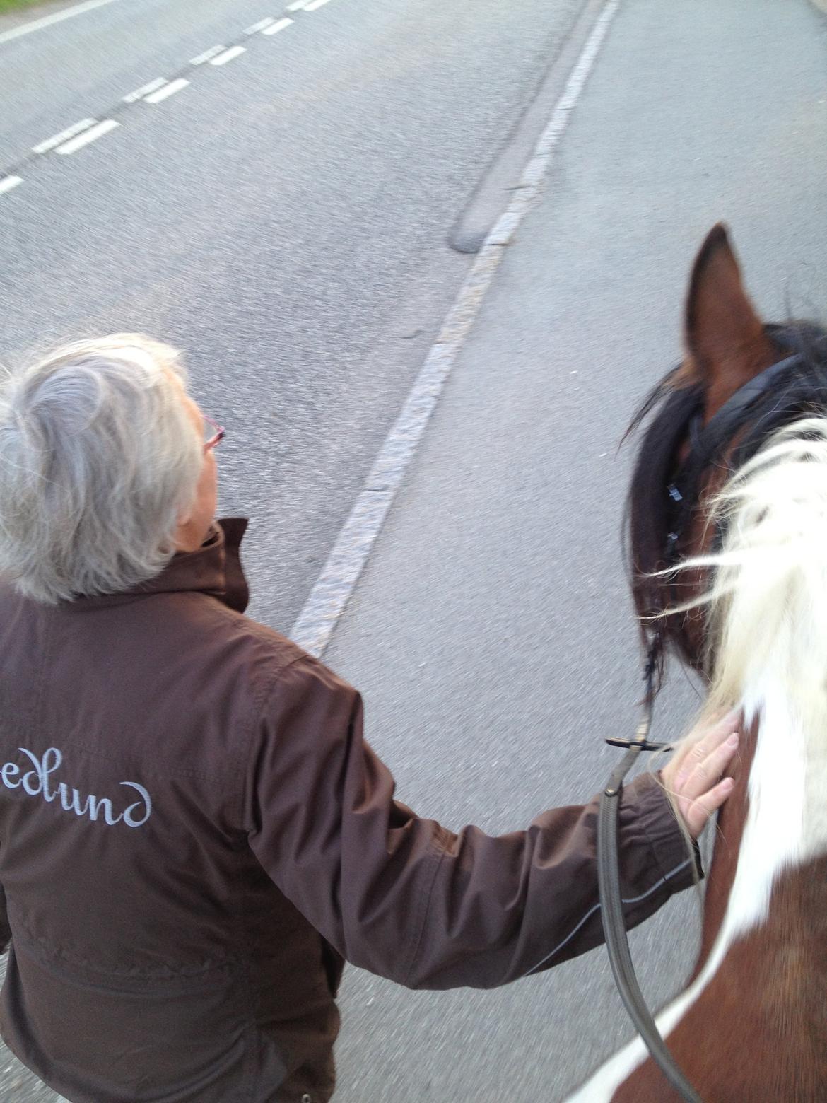 Tinker Satin's Con Fetti - Min mor og Fetti. billede 12