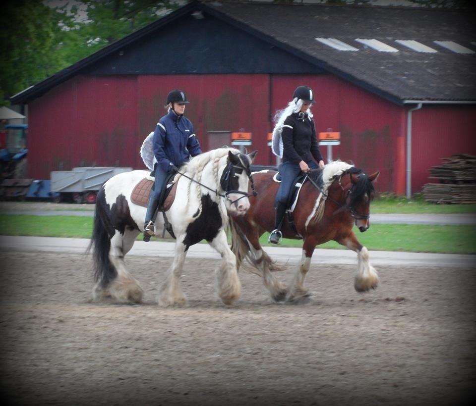 Tinker Satin's Con Fetti billede 13