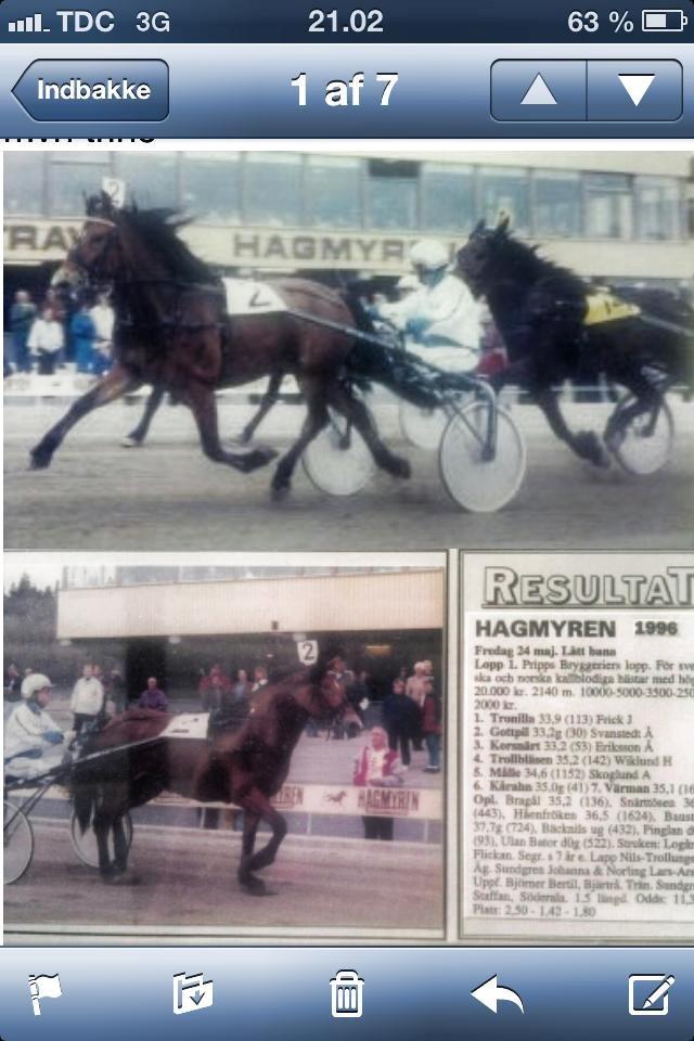 Koldblodstraver Tronilla - 1996 <3 billede 1