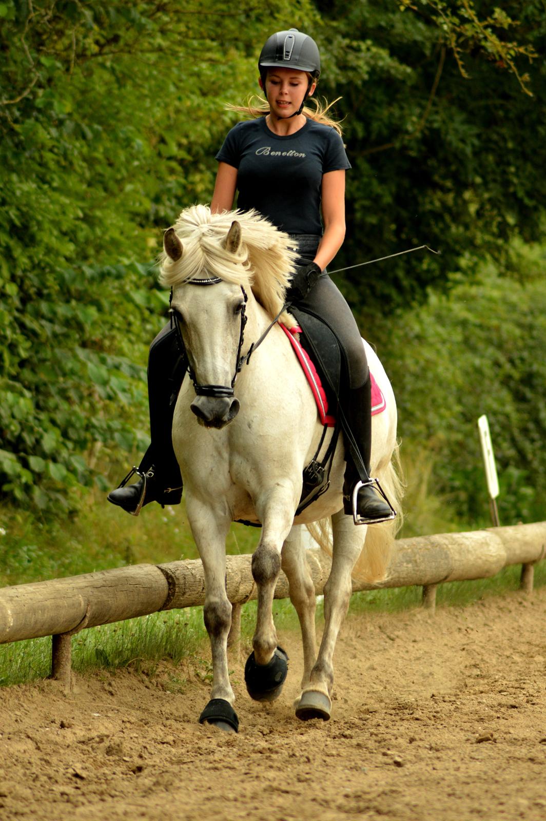 Anden særlig race Miss Dulle *Stjernepony* billede 29