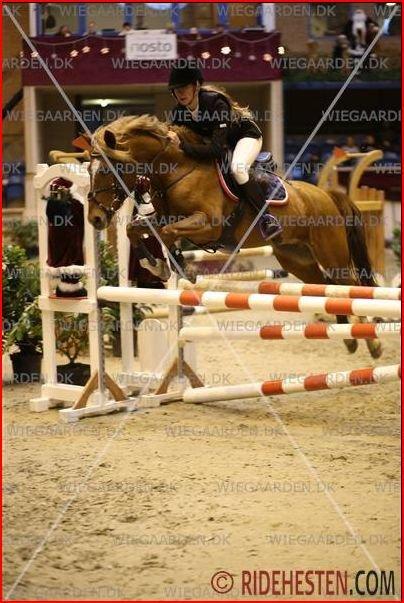 Anden særlig race Westergaard's Gabbi |B-PONY| Solgt - sidste stævne på hende<3
LA** 1.plads billede 31