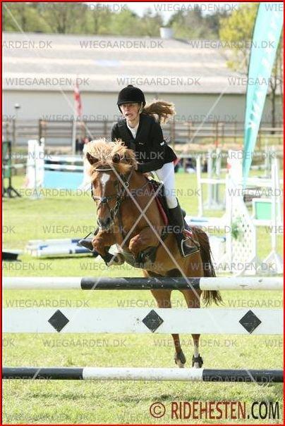 Anden særlig race Westergaard's Gabbi |B-PONY| Solgt - MB** morsø 2012<3 billede 35