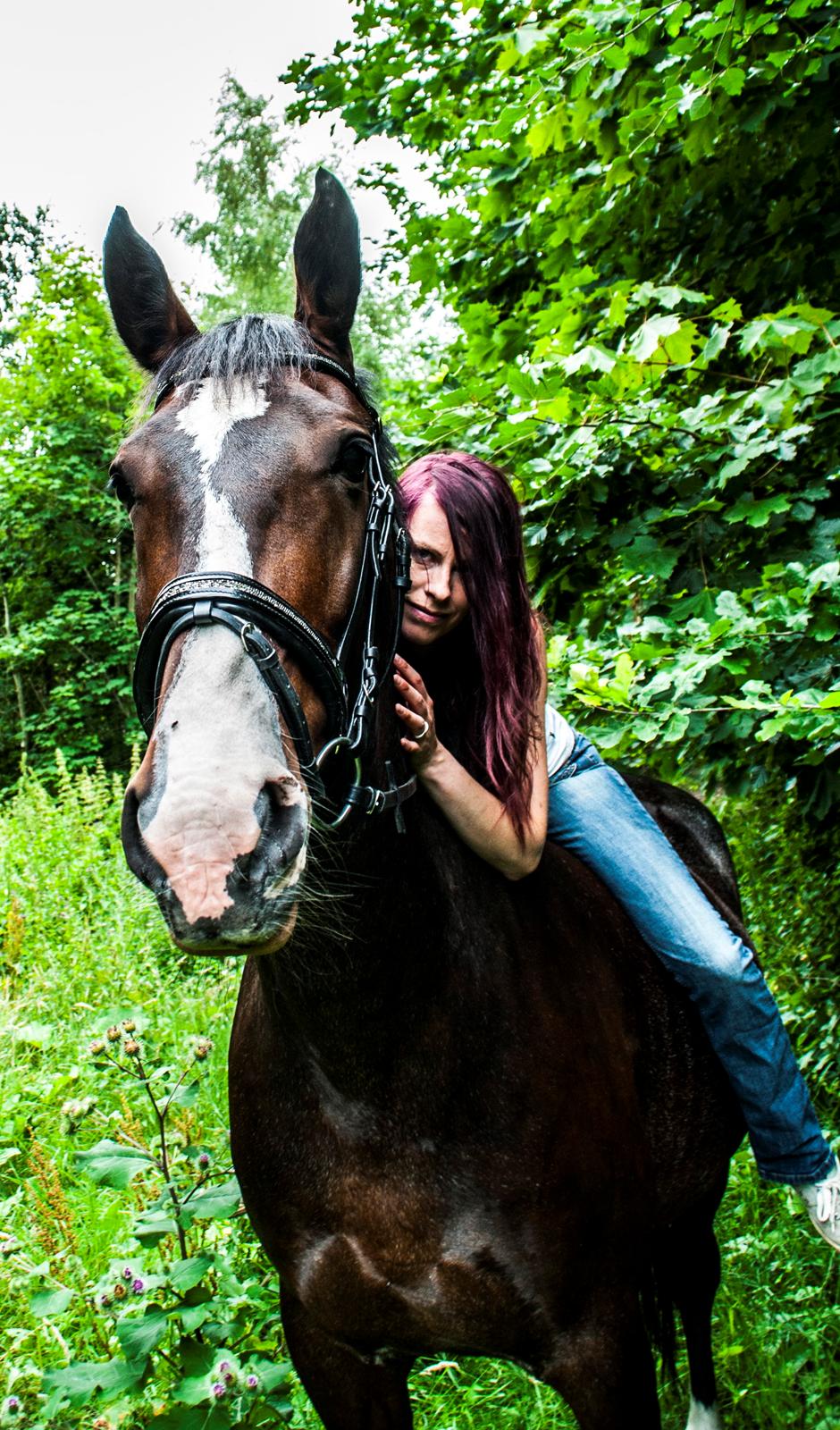 Hollandsk Varmblod Annika billede 36