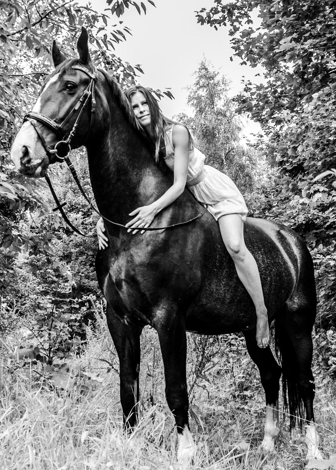 Hollandsk Varmblod Annika billede 37