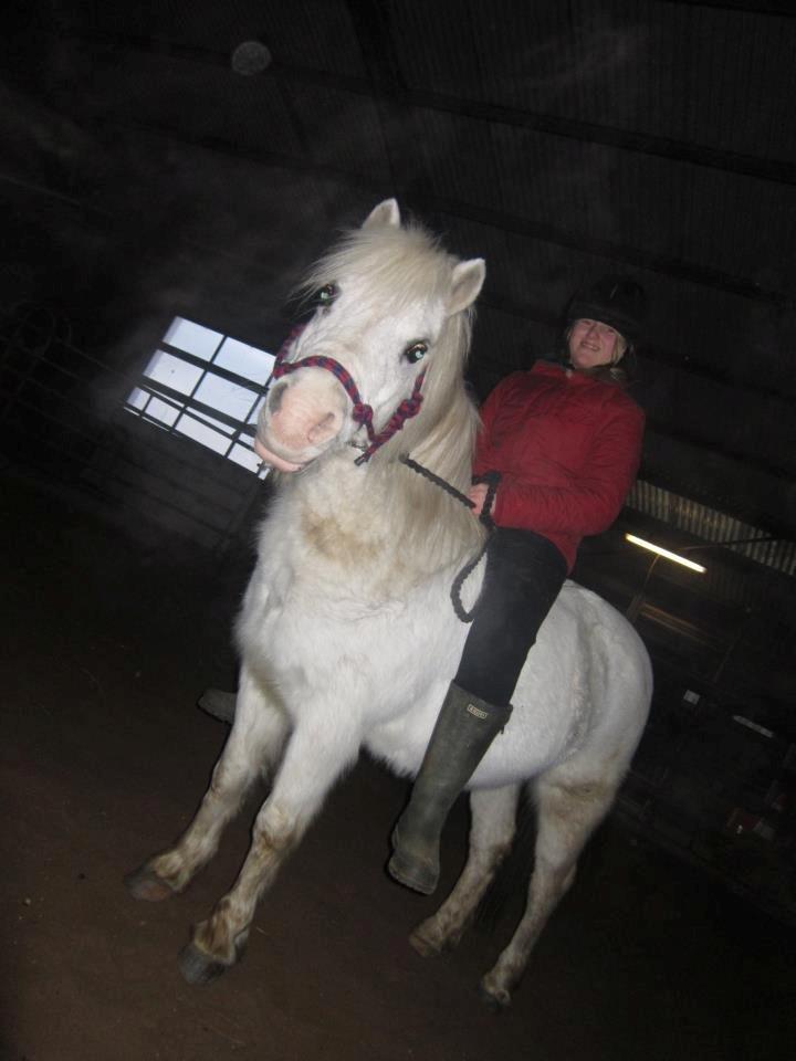 Anden særlig race Bella <3 Hvil i fred  <3 - Mig og Bella der rider bidløst i rebgrime :)
det er over 2 år siden hun sidst har gjort det :D billede 10