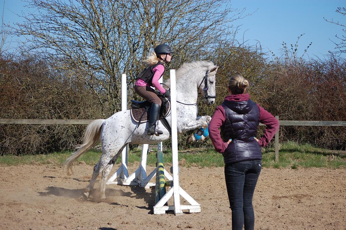 Anden særlig race Hoppity Hop (Verdens bedste pony)<3 - Hoppity Hop hopper godt nok godt der :-) billede 9