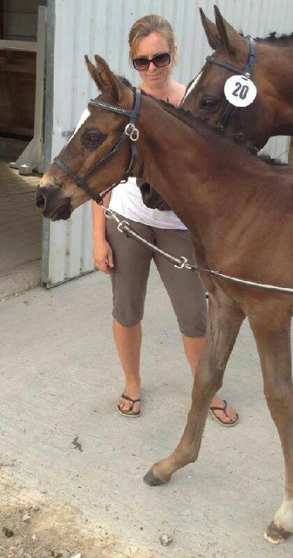 Dansk Varmblod PHB'S Hagbarth - Følbedømmelse på Team Cabe, DV Region 2 d. 28/7-13 billede 6