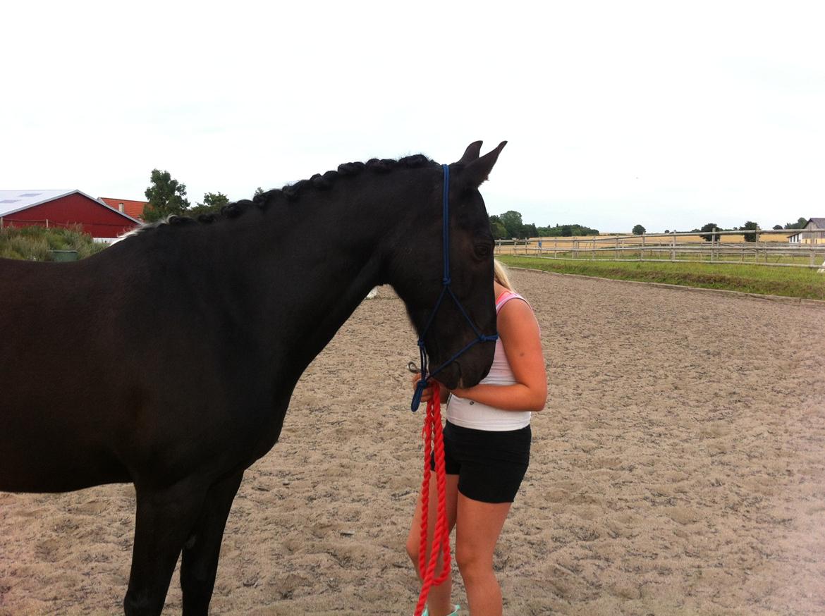 New Forest Dusty<3 billede 7