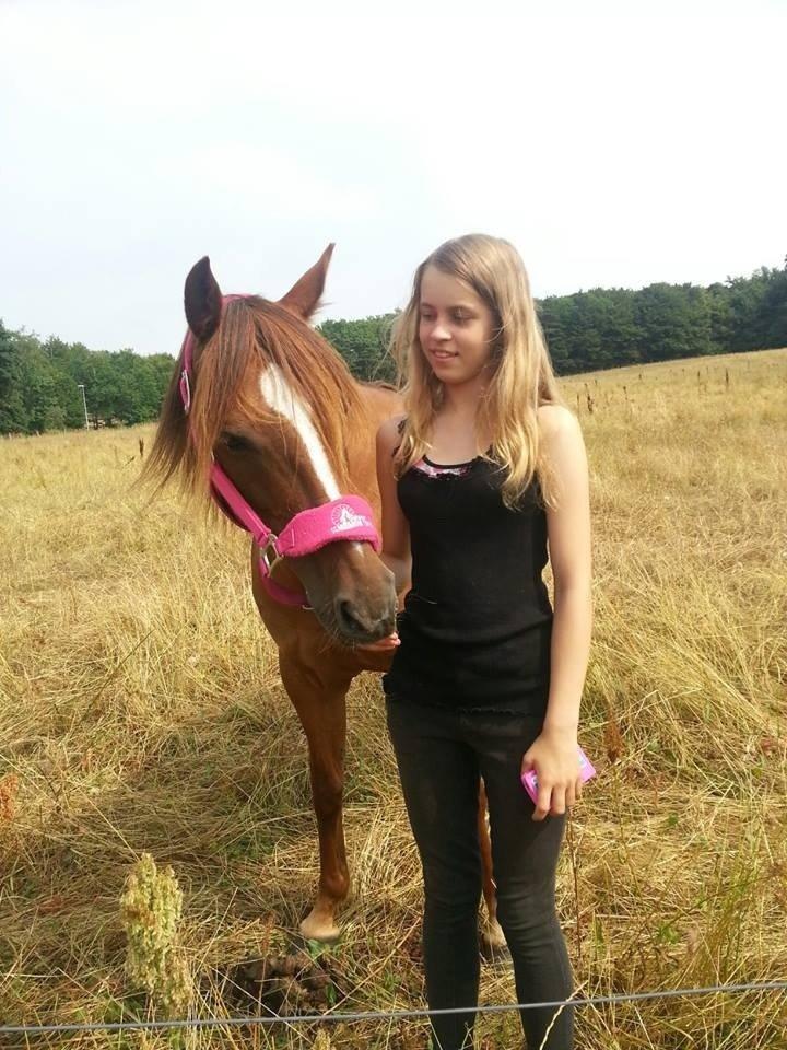 Anden særlig race pony - <3 jeg elsker dig <3 billede 13