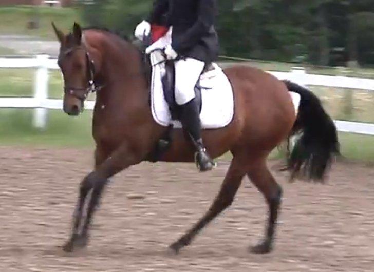 DSP BIRKELUND'S FLAMME billede 17