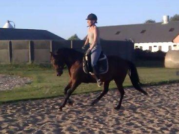 DSP BIRKELUND'S FLAMME billede 18