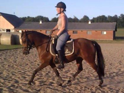 DSP BIRKELUND'S FLAMME billede 19