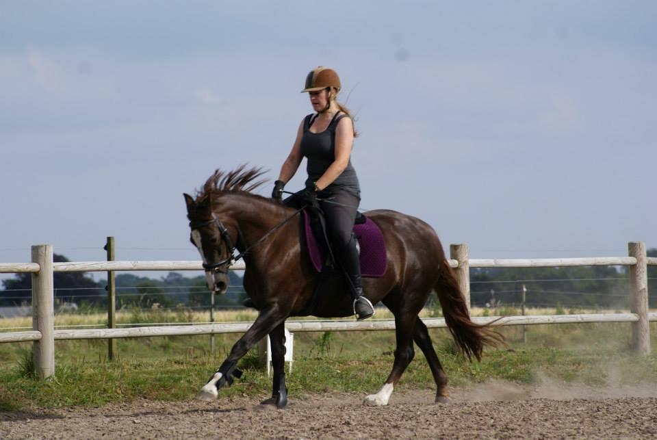 Anden særlig race Honey (Har redet) billede 7