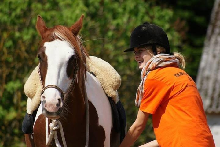 Pinto Tinker blanding Ronja "Ponyen med pletter" - Et billede fra Ridelejr 2013 hos Ryttercentering.  billede 4