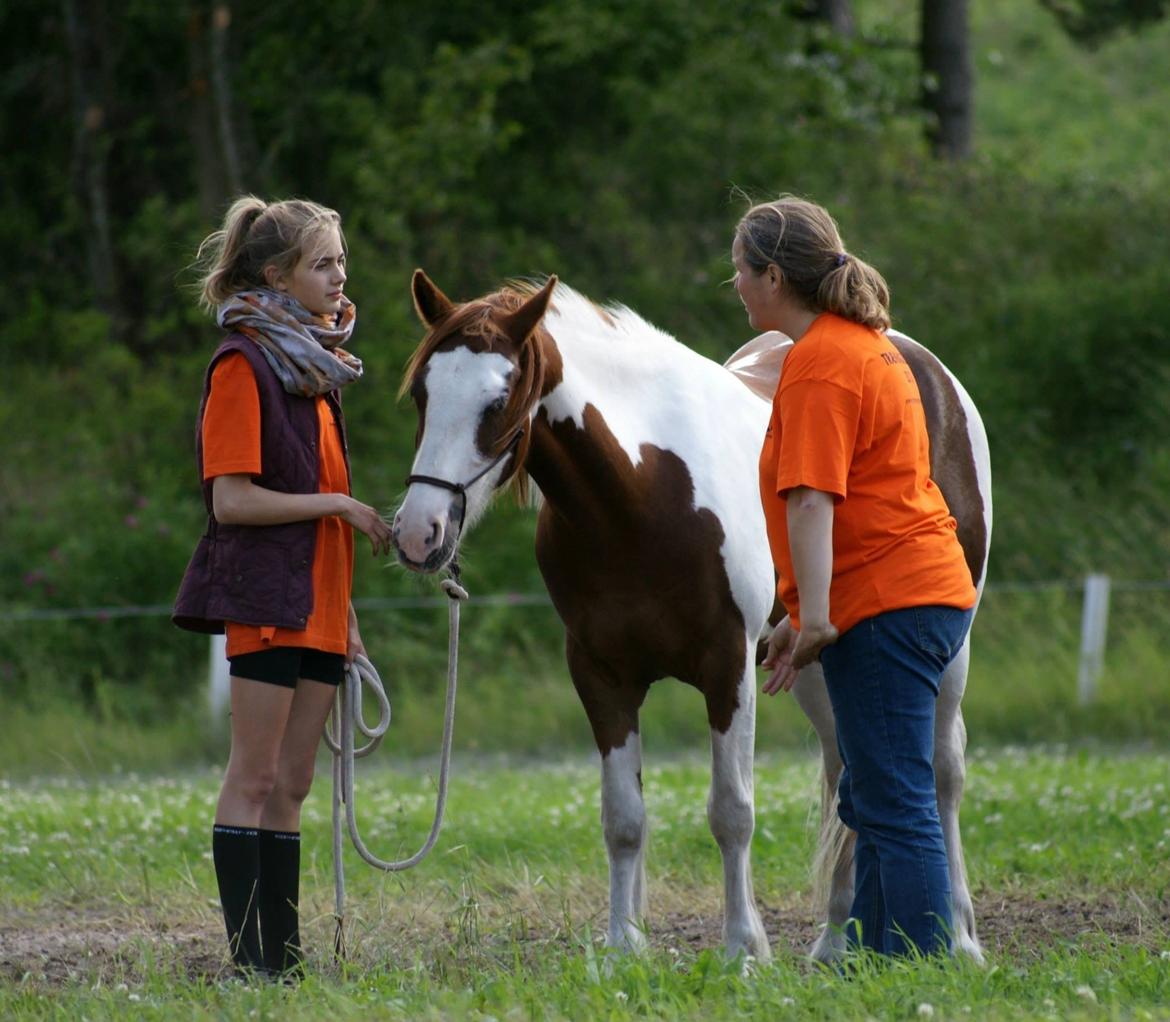 Pinto Tinker blanding Ronja "Ponyen med pletter" - Et billede fra Ridelejr 2013 hos Ryttercentering. Tabita underviser. billede 16