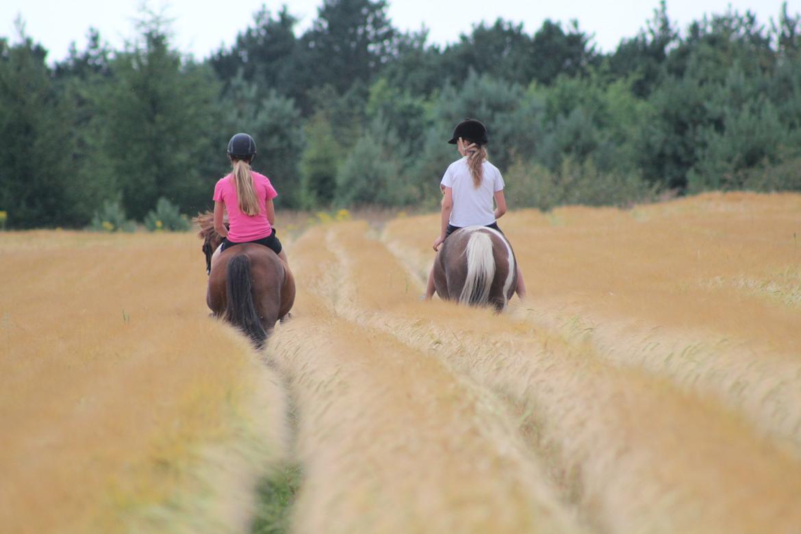 Anden særlig race Ruby B-pony - på tur med søde Indy & Clara! <3 billede 29