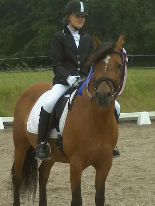 DSP Troja min dejlige part! - 1 og 2 plalds! så stolt af pony:)  billede 1