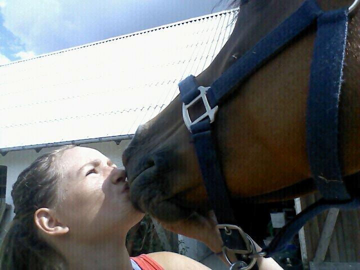 DSP Troja min dejlige part! - dejligt med et lille kys af den bedste pony!<3<3 billede 7