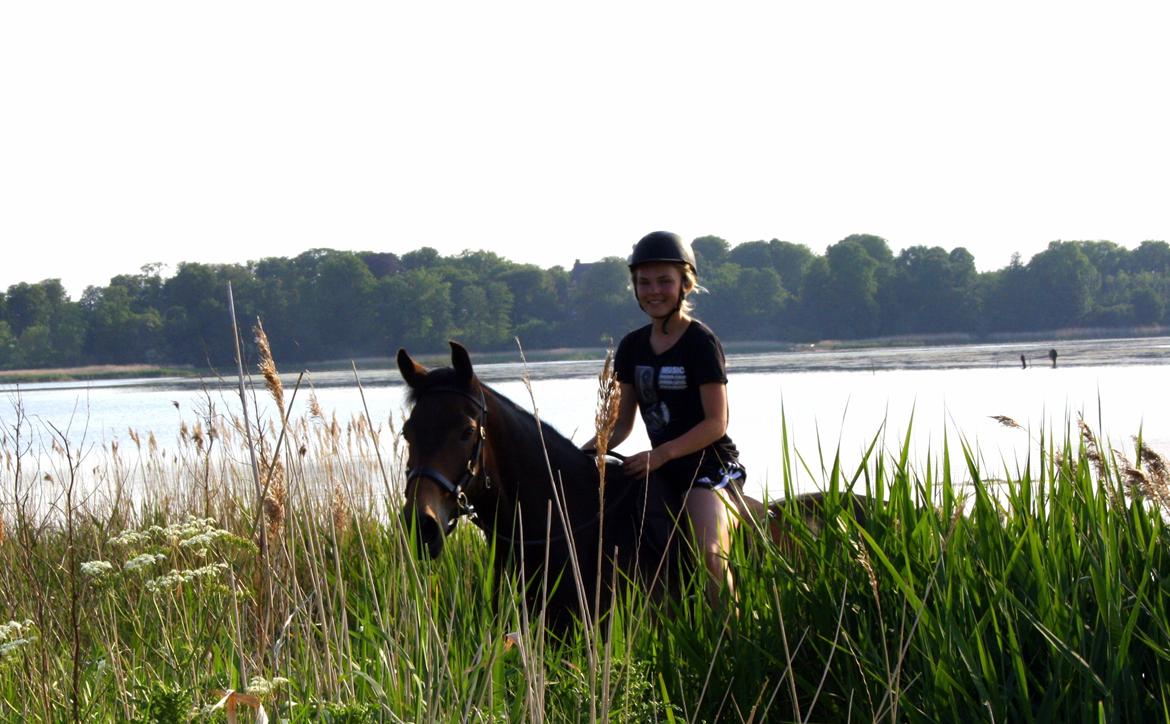 Anden særlig race Bjeldbaks Darling (Chauto) - Juni 2013 - Oppe igen efter den skønneste tur i vandet <3 billede 24