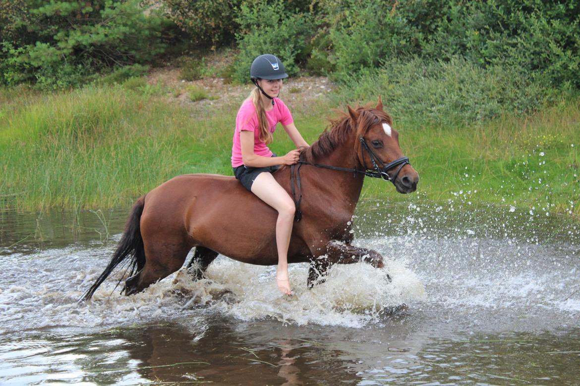 Anden særlig race Ruby B-pony - mit lille badedyr! billede 30