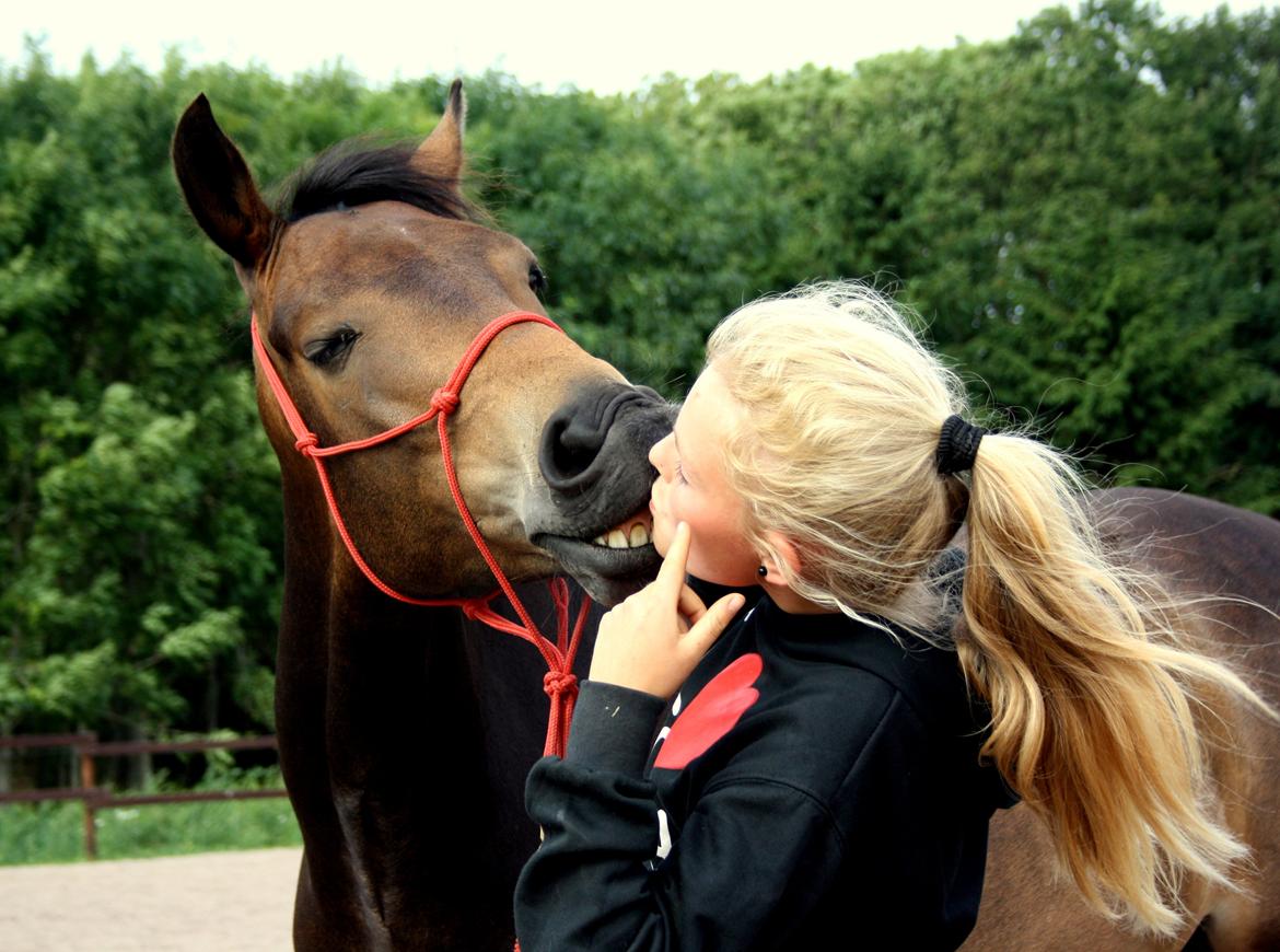 Anden særlig race Bjeldbaks Darling (Chauto) - Juli 2013 - Sommer, sol og et kys fra den bedste <3 billede 7