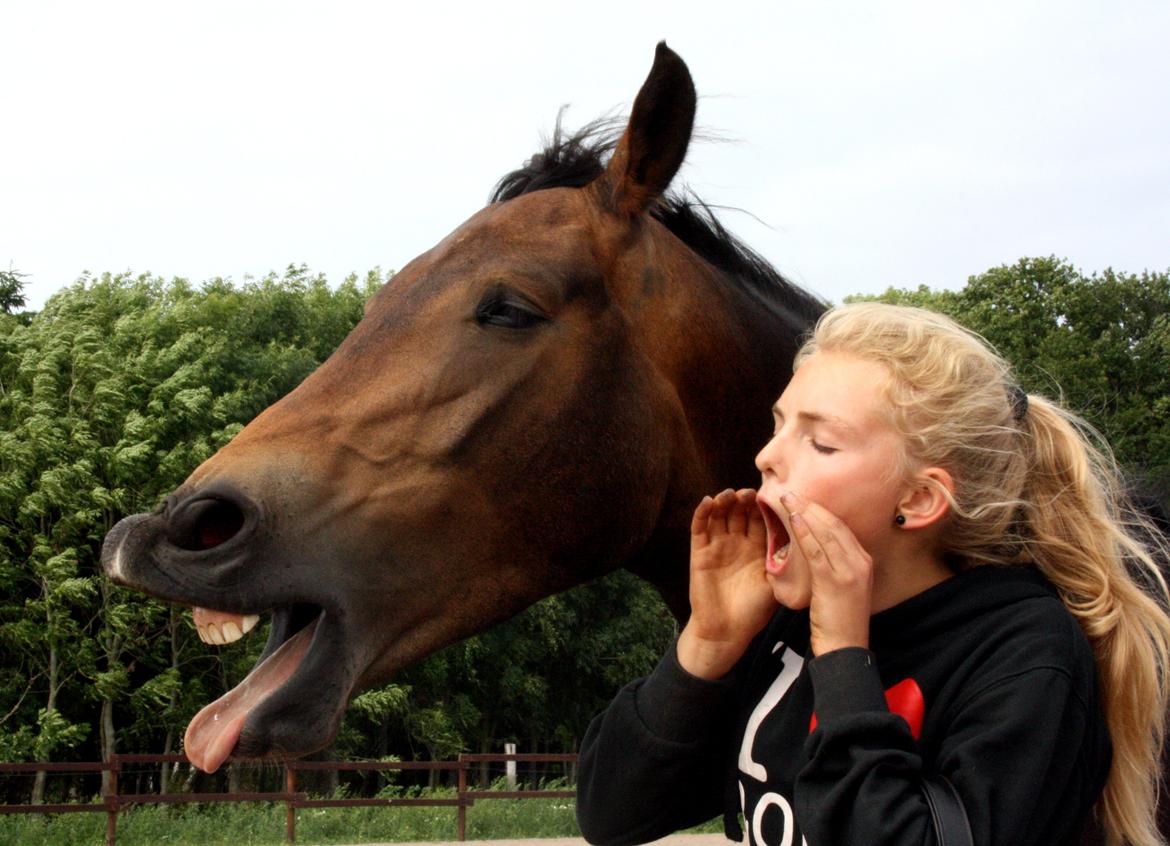 Anden særlig race Bjeldbaks Darling (Chauto) - Juli 2013 - Gaaab <3 Vi ser jo geniale ud ;-) billede 17