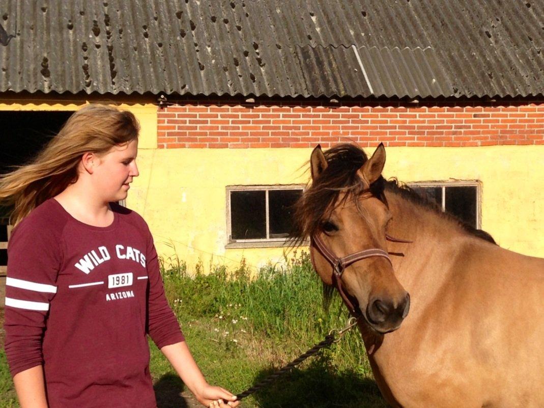 Anden særlig race Karina - Prinsessen <3 billede 3