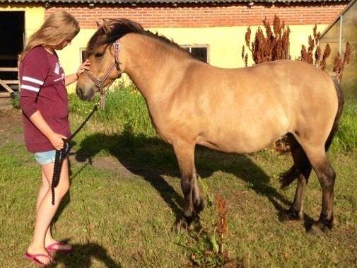 Anden særlig race Karina - Prinsessen <3 billede 6