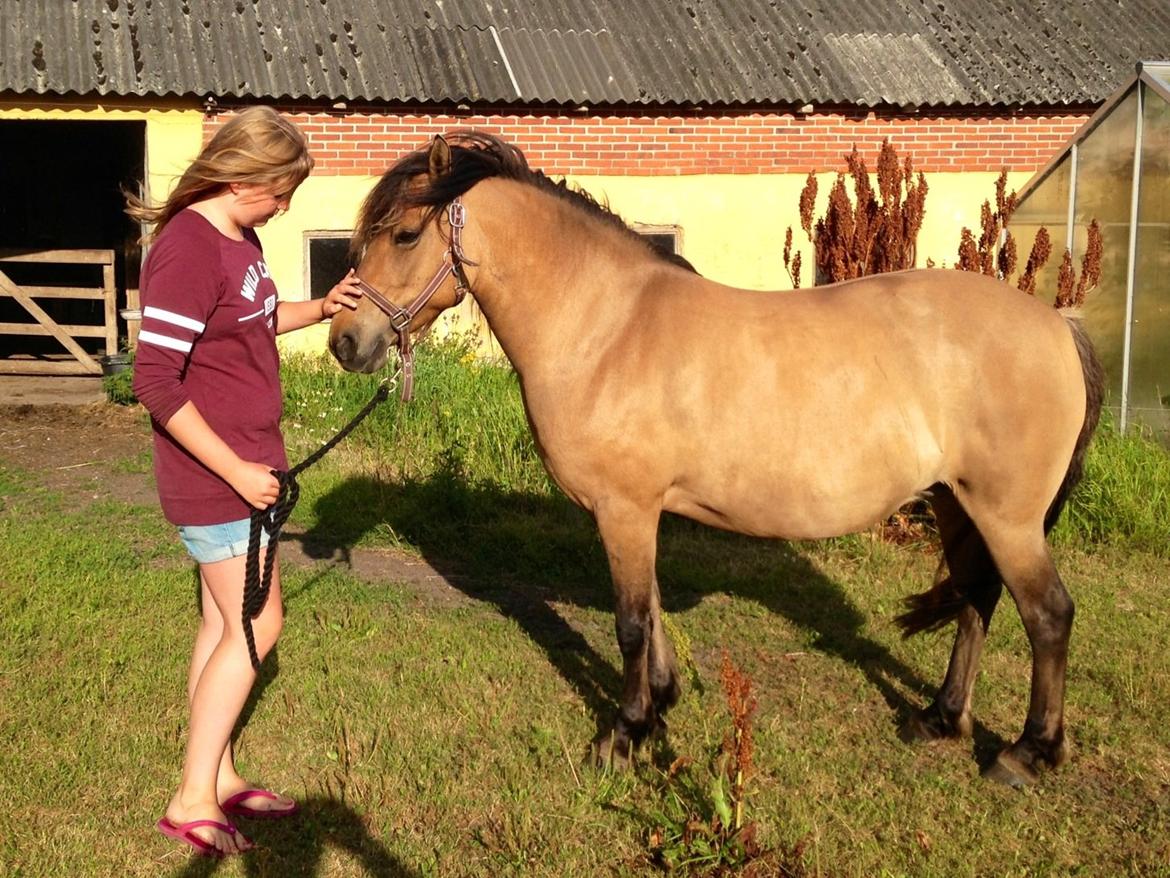 Anden særlig race Karina - Prinsessen <3 billede 9
