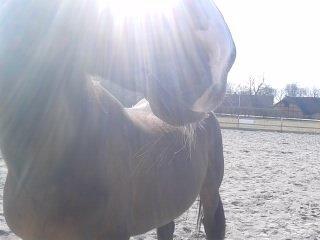 Traver Møffeline - hendes flotte mulle i solen billede 17