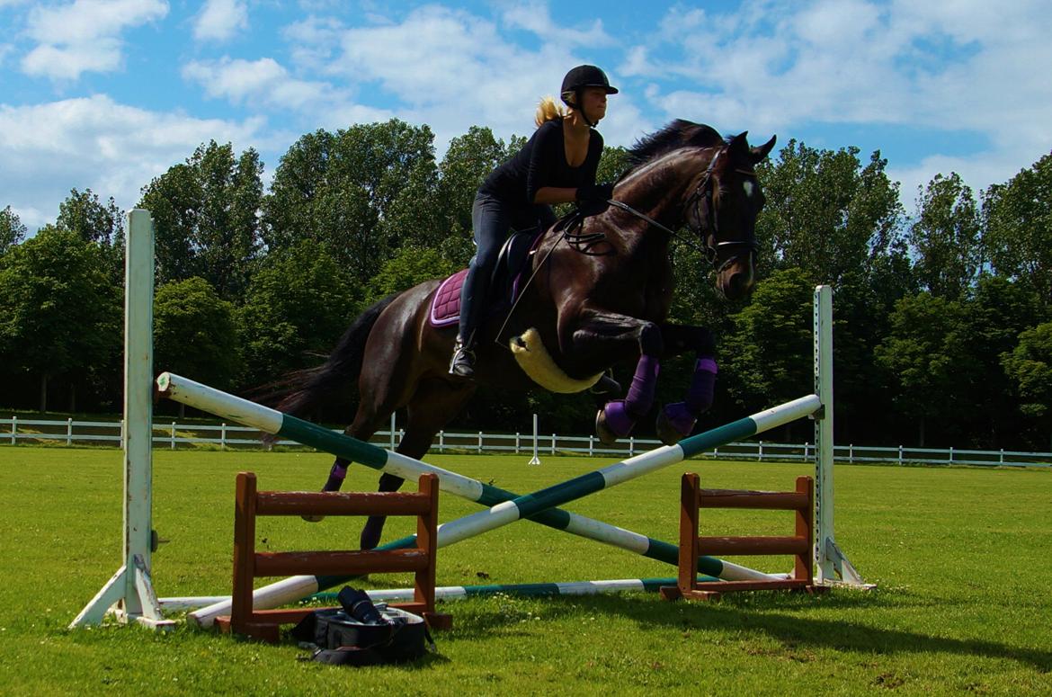 Oldenborg Dulcis Chagall - Take me with you! billede 10