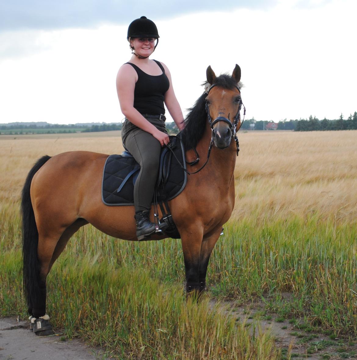 Hollandsk Sportspony Jasmijn billede 10