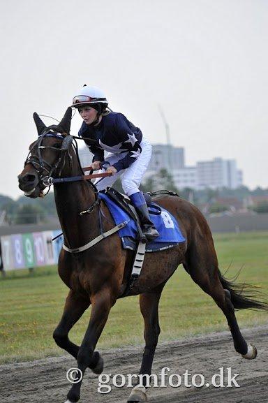 Traver Mccoy V K billede 14