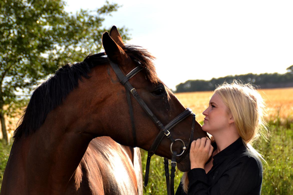 Dansk Varmblod Silhouette - Et billede siger mere end tusind ord, min smukkeste skat <3 billede 15