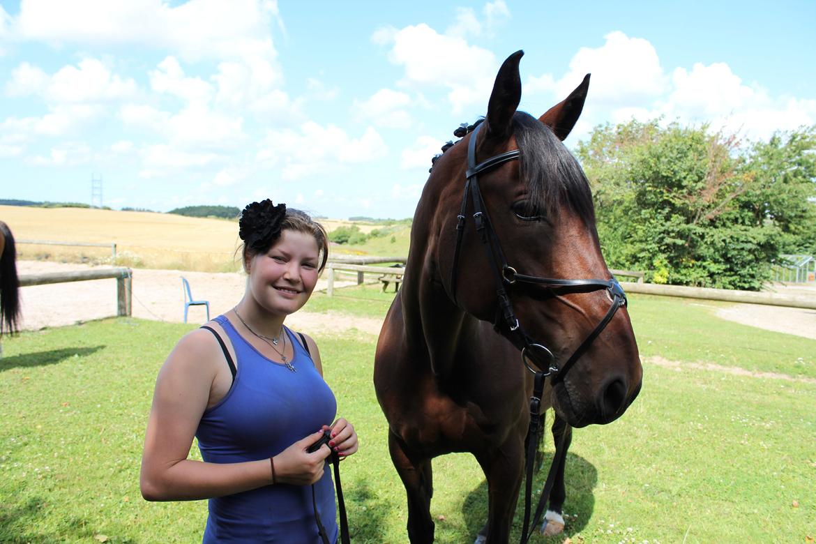 Anden særlig race Vilsbæk Flicka (Himmelhest) - ridlejer med BFF en FOTO Mette billede 6