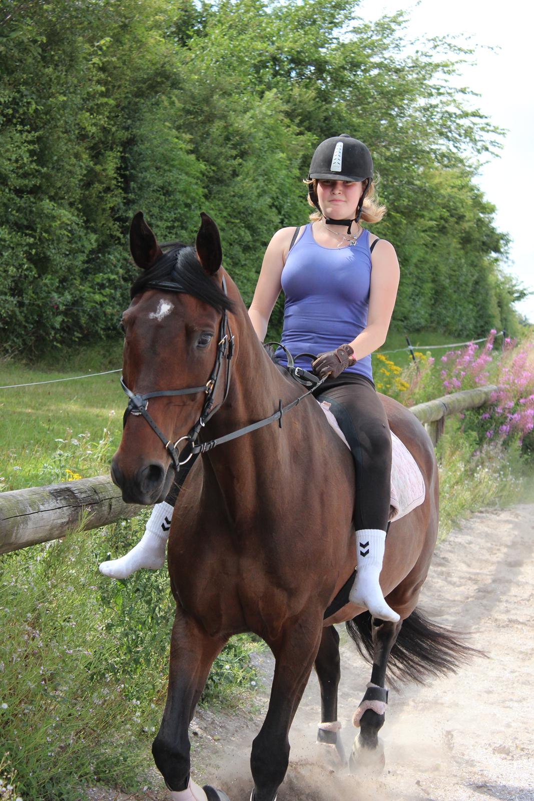 Anden særlig race Vilsbæk Flicka (Himmelhest) - Ridlejer med BFFen FOTO Mette billede 8