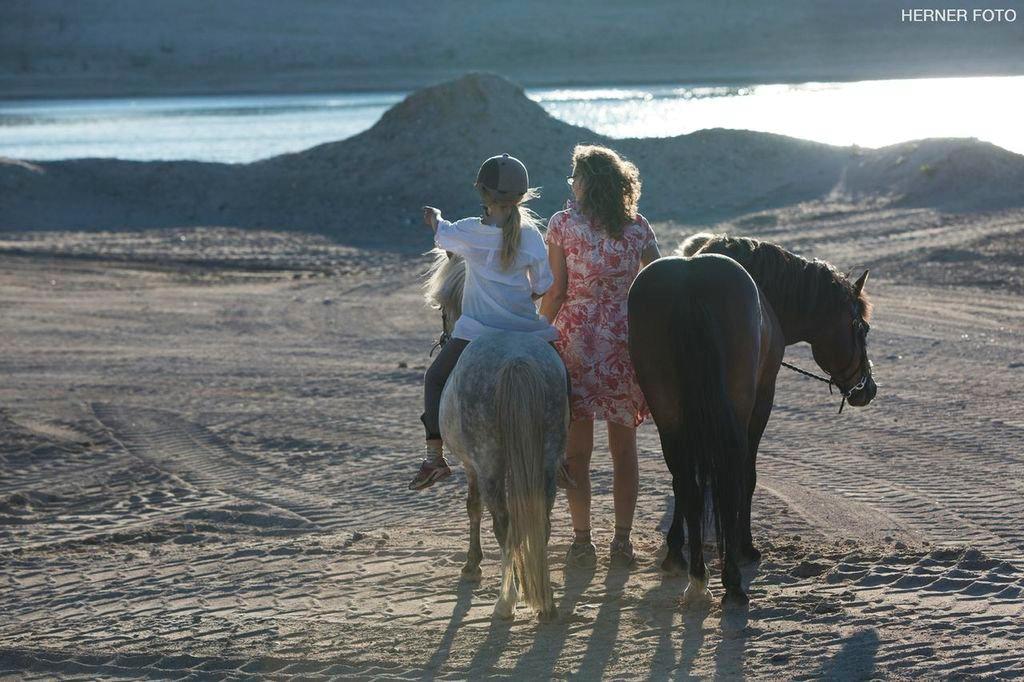 New Forest La Fayette Skovly billede 16