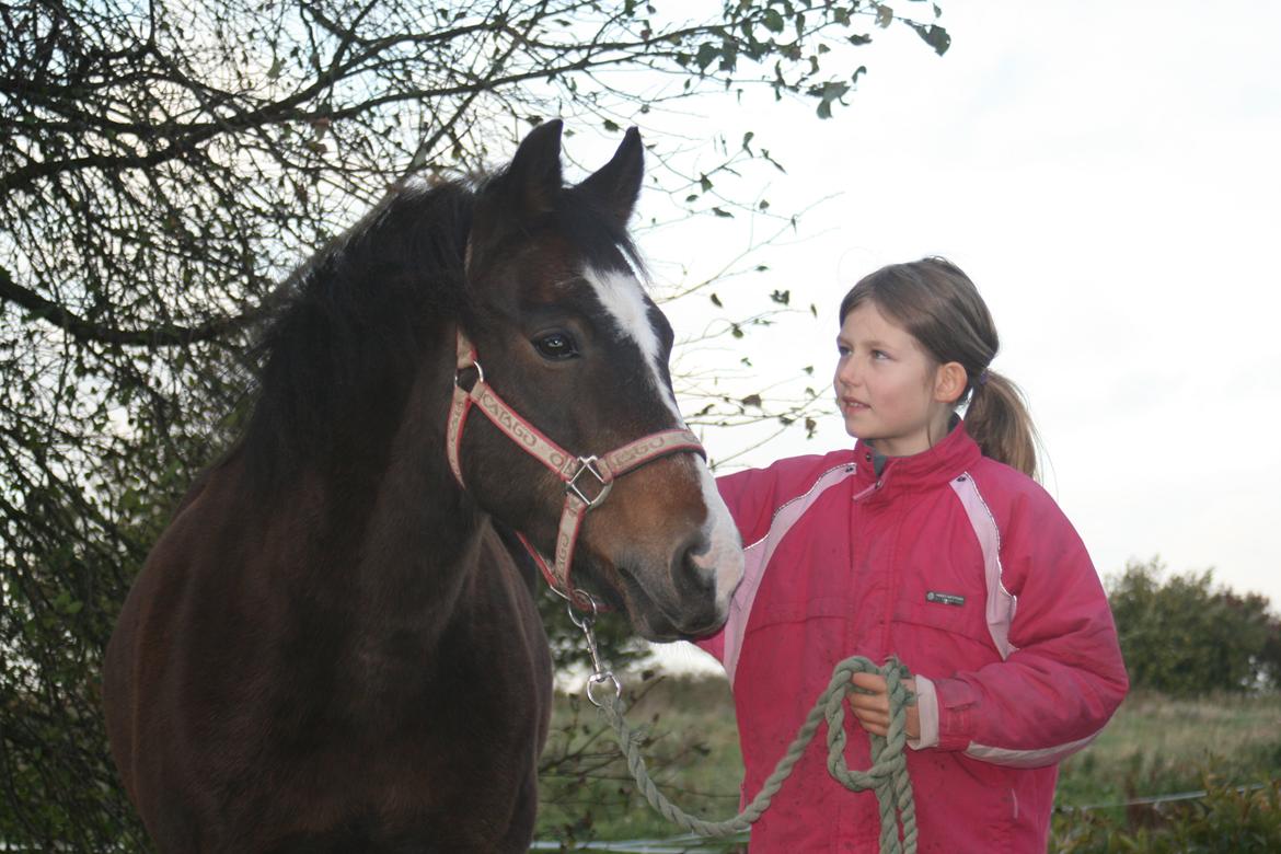 New Forest La Fayette Skovly billede 9