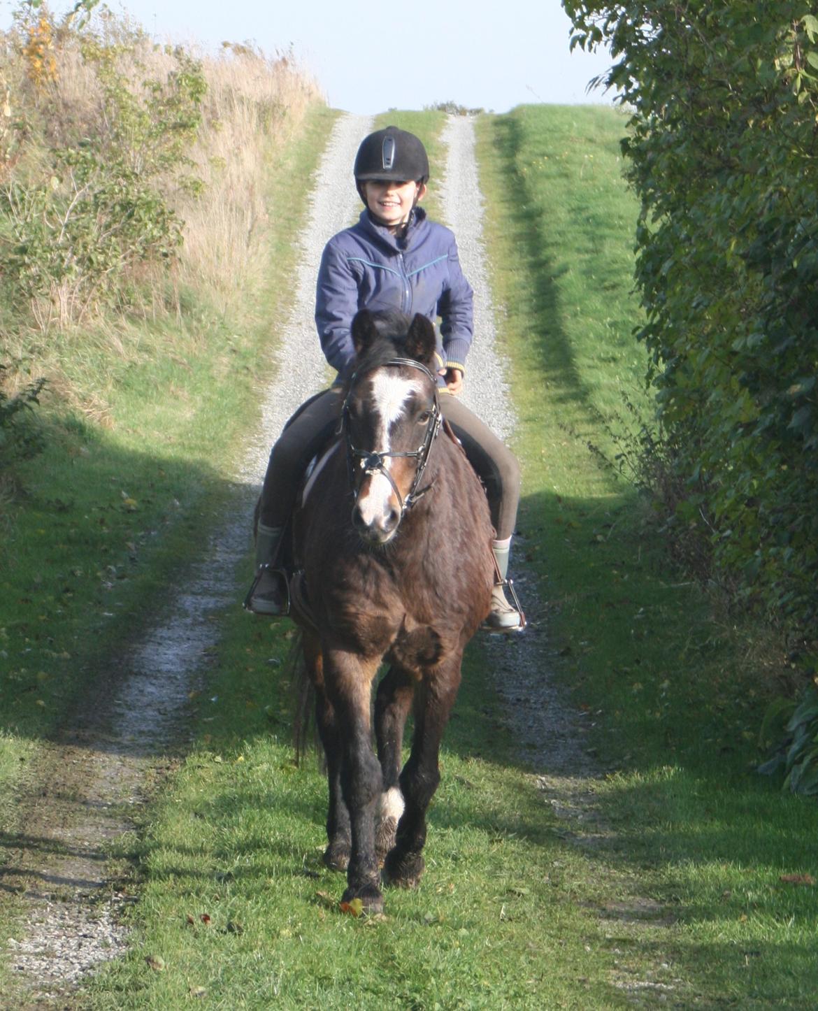 New Forest La Fayette Skovly billede 7