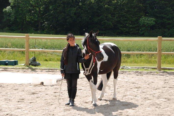 Anden særlig race Bonni - Ride lejr 2013  billede 1