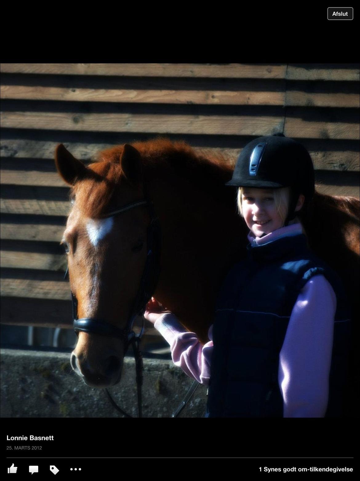 New Forest Acett Af Hvarre <3  - Acett og Pernille<3 billede 2