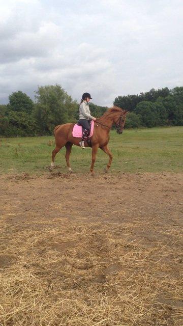 Fuldblod (XX) All that jazz billede 16