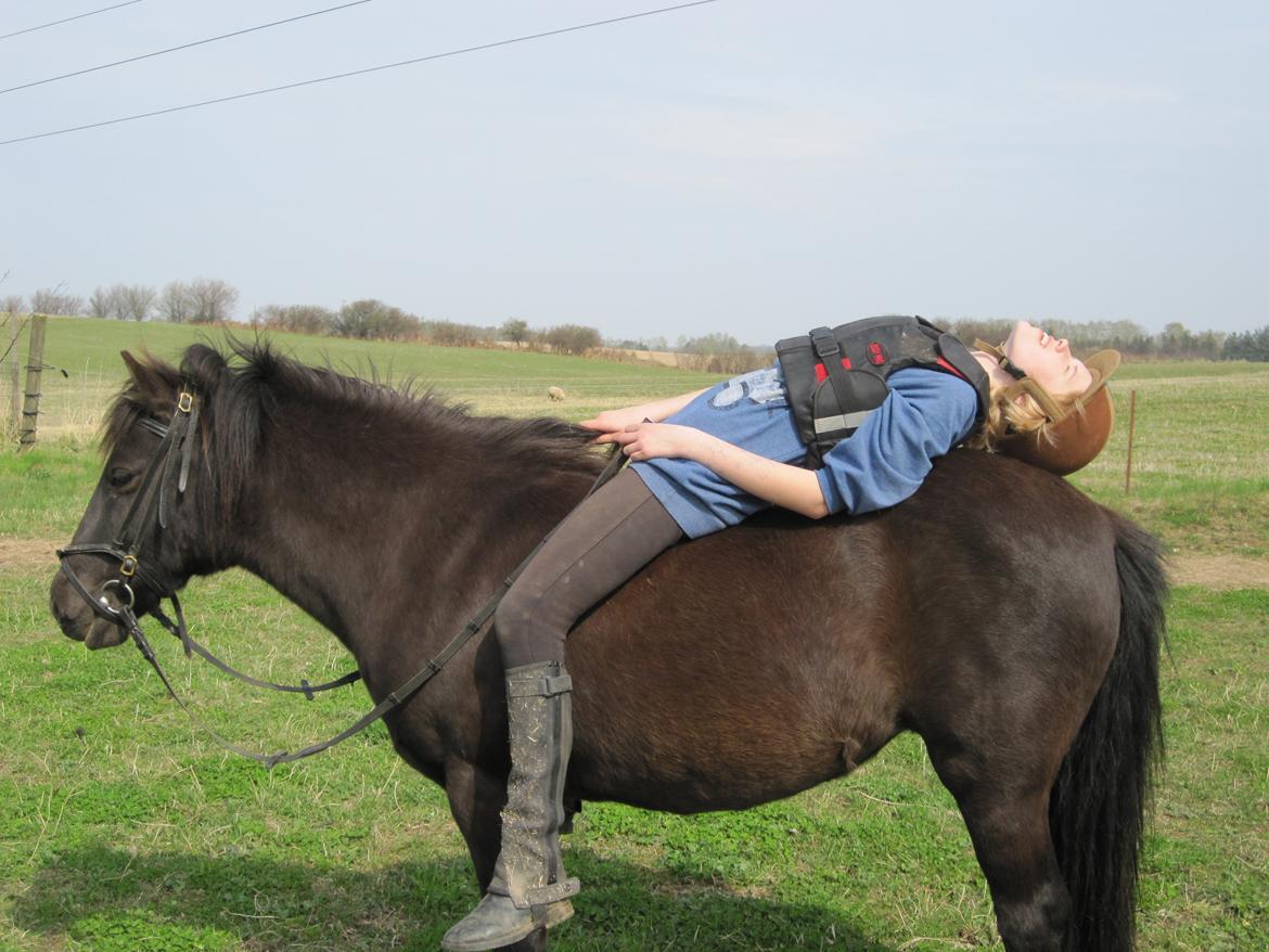 Anden særlig race Jolly - Krævede mod fra min side - men hun var bare en stjerne! billede 12
