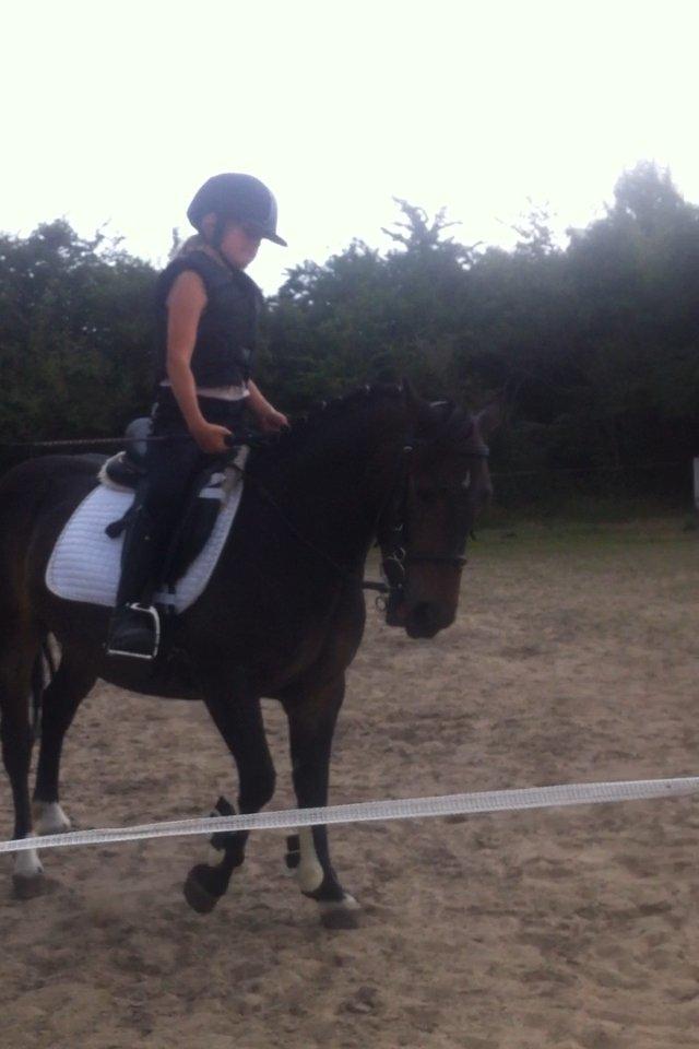 Anden særlig race Miss JJ billede 1