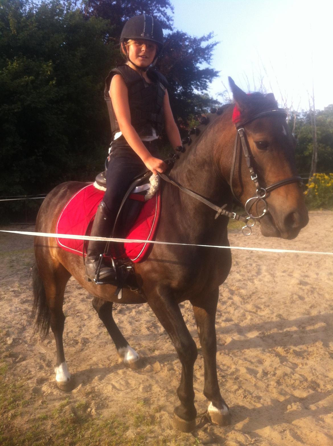 Anden særlig race Miss JJ billede 5