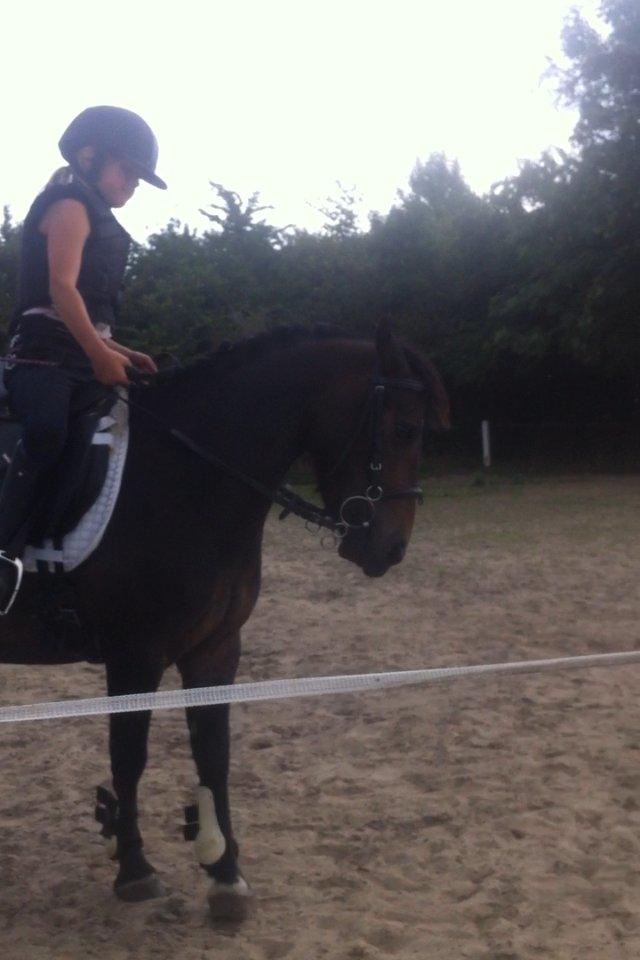 Anden særlig race Miss JJ billede 6