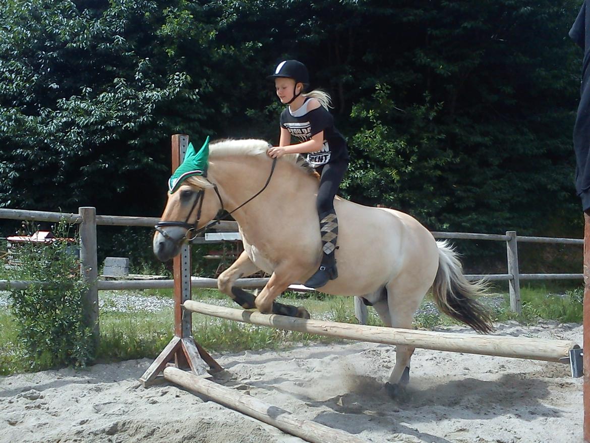 Fjordhest Tarzan - det ligner at han river ned, men det gør han ikke... <3
50 cm billede 1