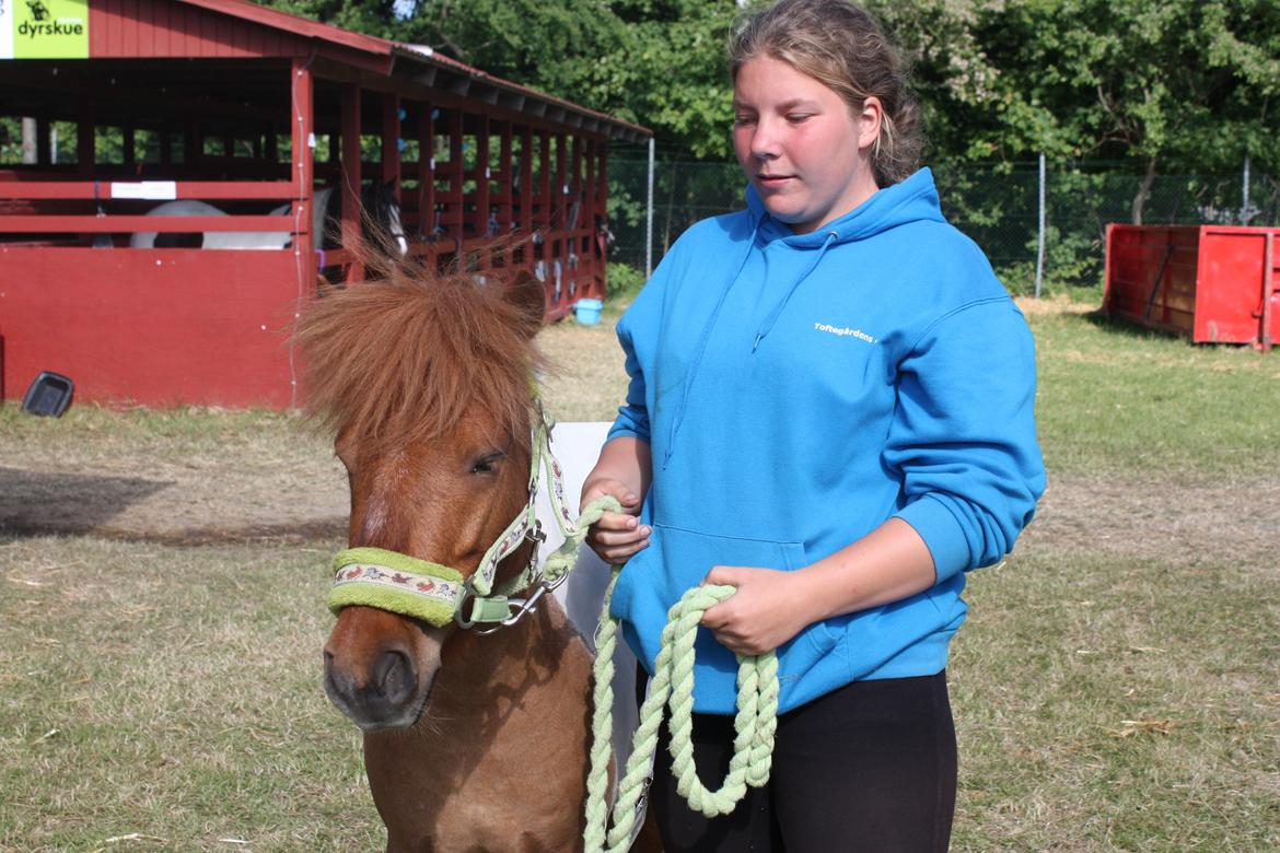 Anden særlig race Bugsi <3  billede 10