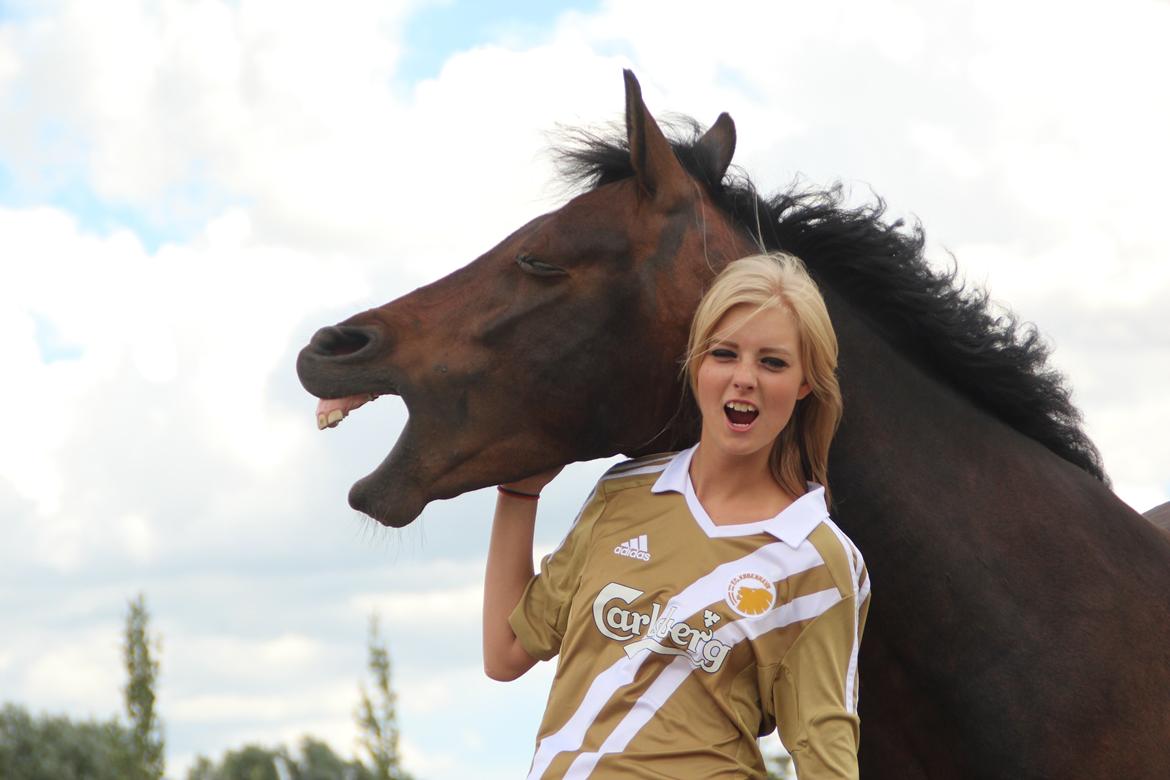 Anden særlig race Bakkegårdens Playboy - Så lærte vi endelig at gabe på kommando! Dejlige dreng <3 *Foto Simone* [31-07-2013] billede 4
