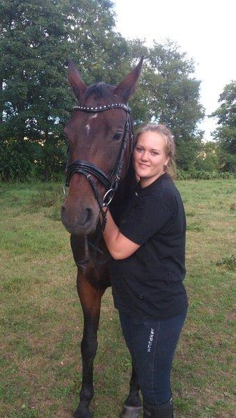 Dansk Varmblod Olympia billede 13